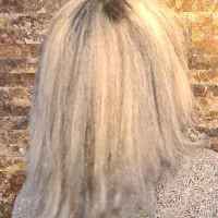خدمات  تخصصی رنگ مو و لایت