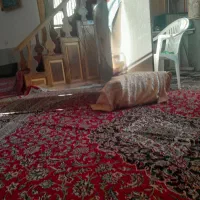 سیستم صوتی رایگان برای مسجد
