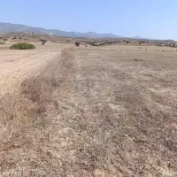 زمین فروشی سرپشت