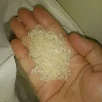 برنج تایلندی درجه یک خوش خور