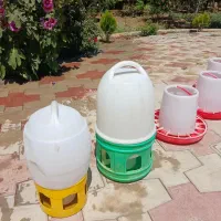 دانخوری و ابخوری  مرغ و خروس و بوقلمونو...