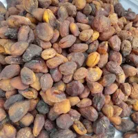 آلوچه|خوردنی و آشامیدنی|کرج, خلج آباد|دیوار