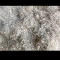 کاه لوبیا سفید و چیتی