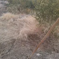 انجام کارهای باغ
