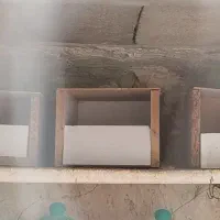 عروس مرغ عشق فنچ