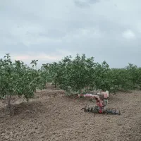 تیلرزنی همراه با دیسک ، علف زنی و برش رایگان درخت