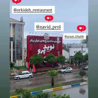 نیروی کار