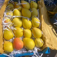 کارگر روز مزد