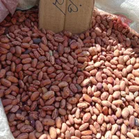 خشکبار