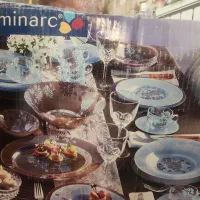 سرویس ارکوپال فرانسه نو