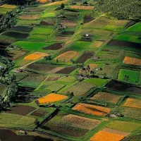 قطعه زمین در رشدیه کوی ولی امر