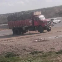 ولووتک باری