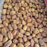 فروش قصب درجه یک