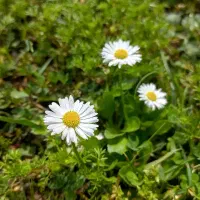 طبیعت گردی××طبیعت