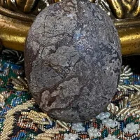 بی نظیر