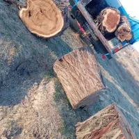 خریداره چوب هستم
