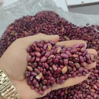 لوبیاقرمز،تخفیف ،به مناسبت اربعین ونذورات