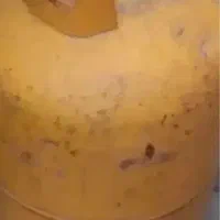 کپسول گاز
