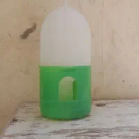 اب دونی کفتر ۸۰تومان