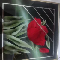 قاب عکس گل و قاب عکس خالی