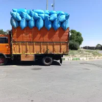 کاه فله نرم گوسفند