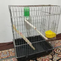 قفس عروس هلندی با وسایل 1ت بدون وسایل 750ت