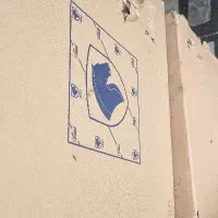 سیلندر xumوxu7 و ۲۰۶ شرکتی کاویان و اوژن