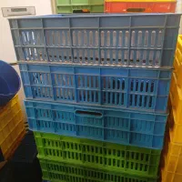 سبد|آبچکان و نظمدهنده ظروف|اهواز, کوروش|دیوار