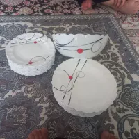 ارکو پال