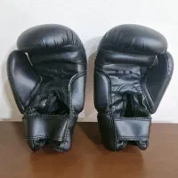 دستکش کیک بوکس . ووشو