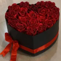 تخفیف ویژه