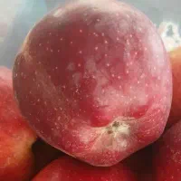 استخدام نیروی کار خانم برای بسته بندی