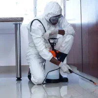 گروه سمپاشی سوسک کابینتی ساس موش سم پاشی ضمانتی کت