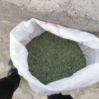 آویشن ممتاز درجه 1