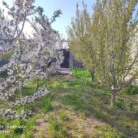 باغ-ویلایی-در-خسروشاه-به-متراژ-600-متر