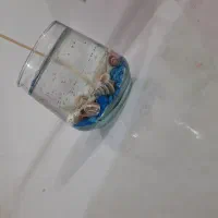 شمع