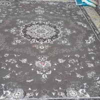قالی