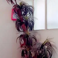 نظافت کننده جهت خوابگاه دخترانه