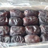 رطب مضافتی