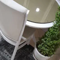 میزناهارخوری وصندلی