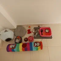 لوازم گربه خانگی