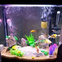 آکواریوم به همراه پایه و کمد