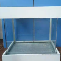 آکواریوم شیشه خم