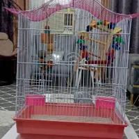 قفس پرنده  قشنگ با وسایل ۱/۳۰۰