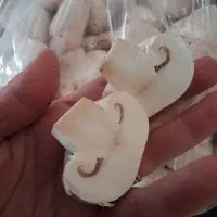 فروش قارچ تازه