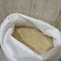 برنج طارم هاشمی کشت اول