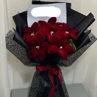 کادو..|گل و گیاه طبیعی|بوکان, |دیوار