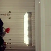 لوستر، لاینر