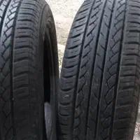 لاستیک شاهین