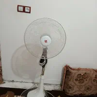 پنکه ایستاده